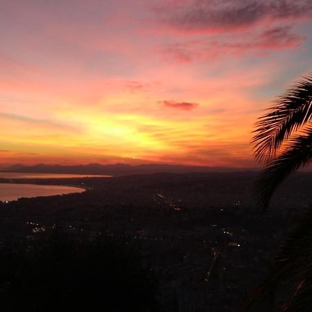 Observatoire Nice Dış mekan fotoğraf